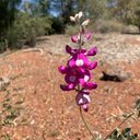 Monique Chisholm - @MoniqueChishol6 - Twitter