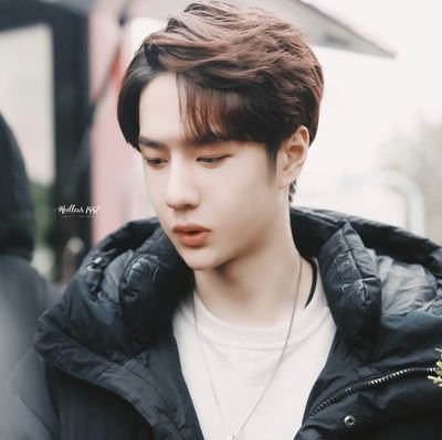 Yibo