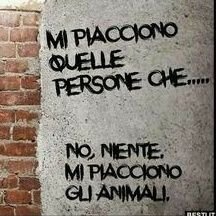 8_agosto_'s profile picture. Nella teoria dell'informazione, quanto è d'impedimento alla chiarezza e univocità del messaggio; maggiore è L'ENTROPIA, minore è la quantità di informazione.