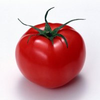 腐り果てたトマト🍅 (@tomato_anime122) Twitter profile photo