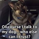 Terry Singer - @TerrySi60351671 - Twitter