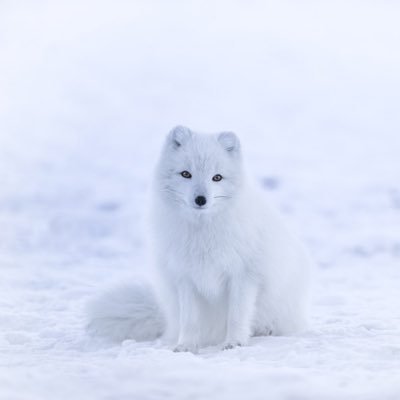 yukita_youtube's profile picture. YouTubeに動画をアップします(たまに)/ブルバさん無言フォロー失礼します