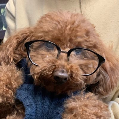 kei_banker's profile picture. 大学卒業▶︎地銀就職▶︎順調に出世▶︎妻が病気▶︎転勤困難▶︎「転勤ムリなら出世あきらめろ」と言われる▶︎銀行退職を決意▶︎転職活動▶︎上場企業に転職▶︎M&A、アライアンス担当▶︎娘が小児がん▶︎学びを諦めずMBA取得 ※日本生産性本部認定経営コンサルタント