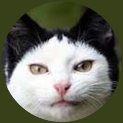 kuatoism's profile picture. 自然破壊阻止運動を希望する💪 熊を守れ！日露同盟早よ！日中断交早よ。スパイ防止法早よ！通名制度廃止、移民廃止と強制送還。議員特権廃止！ソーラーパネルや風力発電に大反対。🇵🇸ガザ大虐殺に断固反対。#FreePalestine🇯🇵https://t.co/qzbjQdgkuN