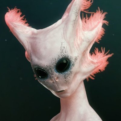 drowsy091's profile picture. back-end developer.