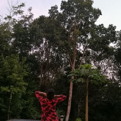 Snehacibi's profile picture. 