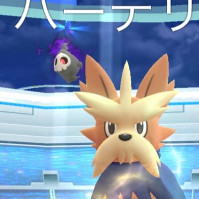 Pokemon_Go_325's profile picture. ポケモンGO 日本でプレイしてます。海外の方のフレンド募集です。Pokemon Go account / Live in JAPAN / If you are a foreigner ,please be my friend！