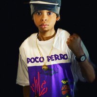 pocoperro(@pocoperro1) 's Twitter Profile Photo