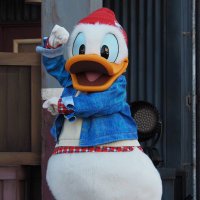 柚稀 (@shoken1321) 's Twitter Profile Photo 柚稀 (@shoken1321) 's Twitter Profile Photo
