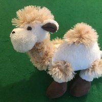 Camel Hump 👍 (@eddymceddyface) 's Twitter Profile