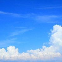 はる (@nihonnoshiki) 's Twitter Profile