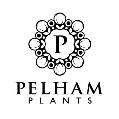 PelhamPlants Profile Picture