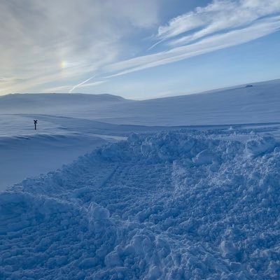 haecarlsson's profile picture. MD