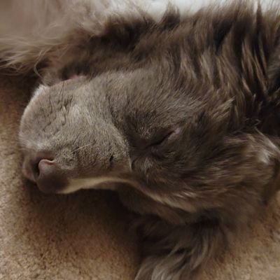 KimberlyBryso11's profile picture. 