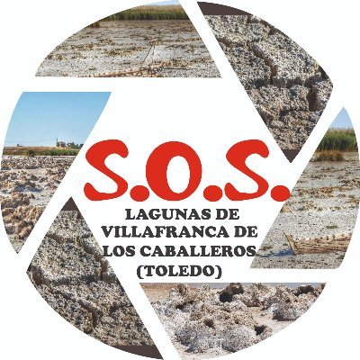 Asociación Lagunas Vivas de Villafranca de los Caballeros (Toledo). Por la biodiversidad de estos humedales. Necesitamos un Plan de Gestión. #SOSLagunas #CLM