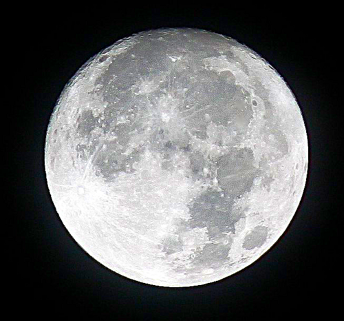 yesmakeitsimple's profile picture. 