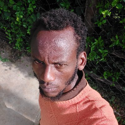 collinskipnthedj