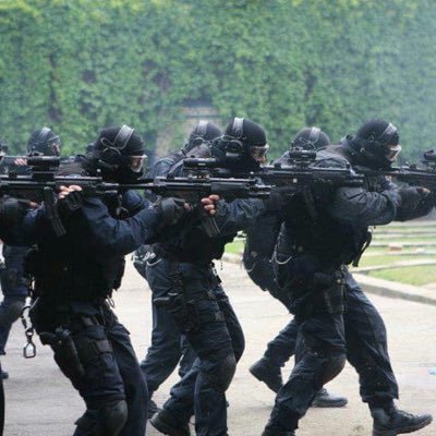 reprenea88's profile picture. 