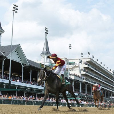 Professional jockey from P.R. 🇵🇷