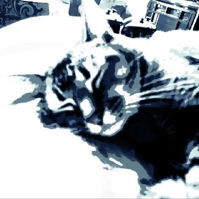 catmann3200's profile picture. 