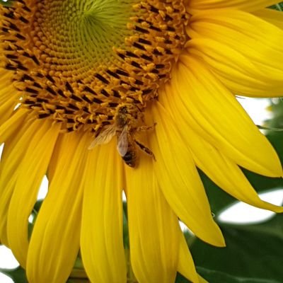 lalalarakong's profile picture. 턱끝까지 숨이차도 여기서 멈추지 않겠어!