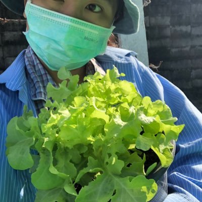 ปลูกผักทานเอง | จูดี้ 🐈 Vegetable🥬 Milk Tea #sharemymemoriesphotos 🎞📷 #begin110121 #ทักทายกันได้นะคะ