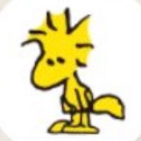 おっちぃ~ (@yu_occhii) 's Twitter Profile