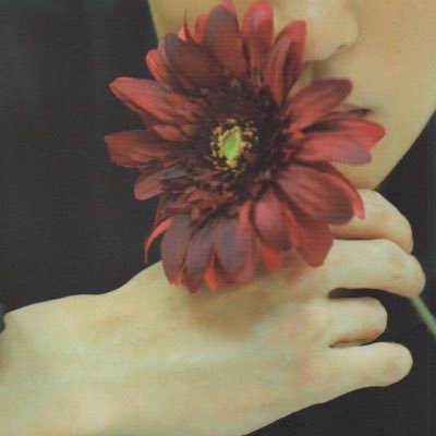 على تويتر リプ失礼致します 有吉櫻井夜会とガンバラナーを配布して頂きたいです 目黒担です 忙しい 中いつも配布ありがとうございます ゆっくりで大丈夫ですのでよろしくお願いします