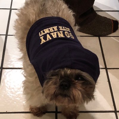 AustinChryFord's profile picture. Twitter...apparently it’s happening here.
SPS16’—Maritime20’—USN