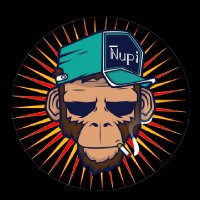 Ñupi Fc Mza Ar (@lucashernanver3) 's Twitter Profile