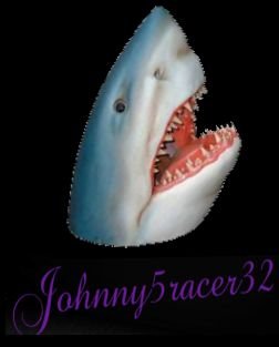johnny5racer32's profile picture. Twitch https://t.co/HiueeFDc3V
my official discord https://t.co/DvhT0xDoTE
Tik Tok https://t.co/8y9SUo6mBs