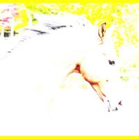 Deb (@sailingtobyzant) 's Twitter Profile