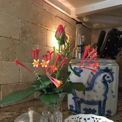 bjgreen45129982's profile picture. Patriot, wife, sister. July4th Independence Day Baby.  It’s 1776 Again. Still voting for Trump!