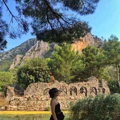 mervekocak54's profile picture. Mathematician