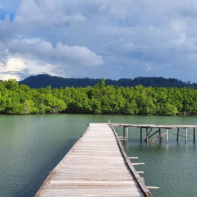 AdiSukaNgadi2x's profile picture. this account is an alter, a porn enthusiast, and a diary. 

Millennial line here