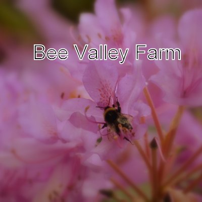 Bee Valley Farm is a Net Zero farm located in Co. Sligo /Growing seasonal produce/ Beekeeping/ Sustainable & Natural living /Environmental education & talks