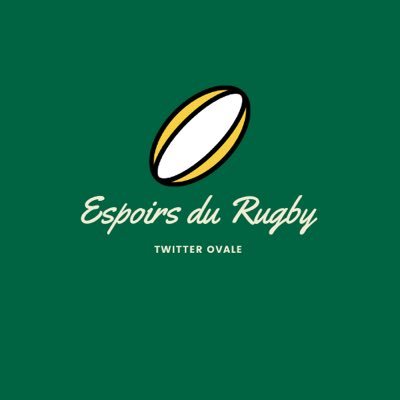 Compils, avis, analyses... On essaie d'y voir plus clair dans l'opaque milieu du rugby.