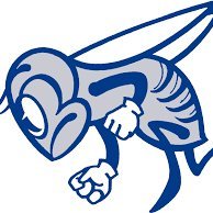 The official account of the Holmdel Township Schools Athletic Department. #WeAreHolmdel #LetsGoHornets