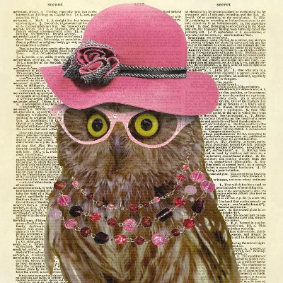 OwlLove34 Profile Picture