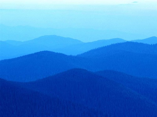 自然をこよなく愛し、山とか海とか川とか。