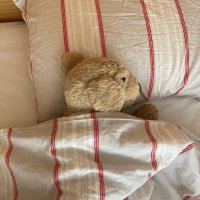 eccenaz (@ecenazuyan) Twitter profile photo