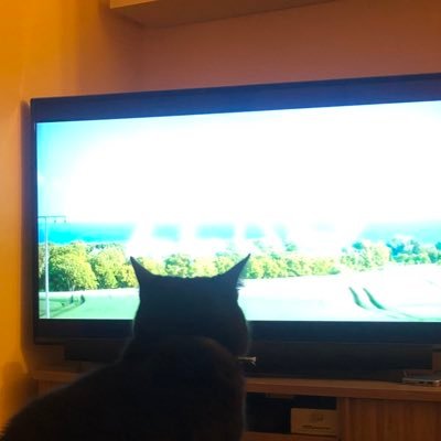 I like watching telly, sometimes!