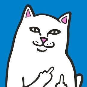 AkJQJE0Wymy7yOj's profile picture. 23 群馬 RA6 ABSOLUTE降りた。
 バス釣り 最大52の更新はまだ…ロクマルに出会いたい