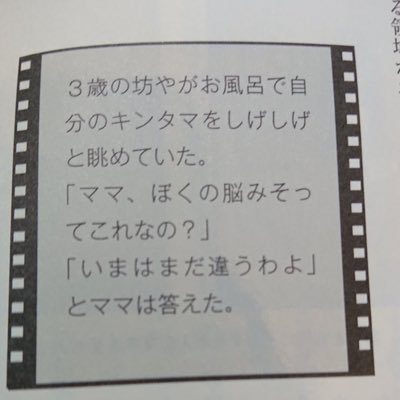 soramarumaruoow's profile picture. ぺぺ