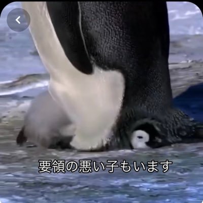 YAYAさんのプロフィール画像