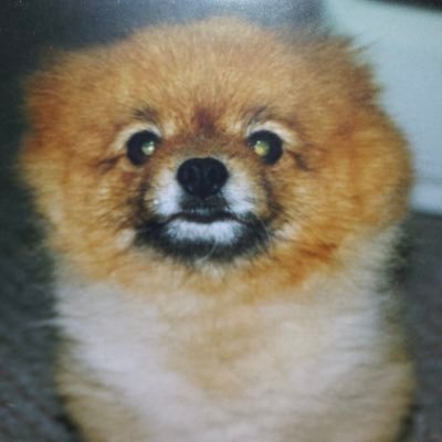 ADYjCIAhuKTGLXv's profile picture. 