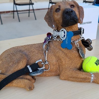 CBosse_CRE's profile picture. Principal