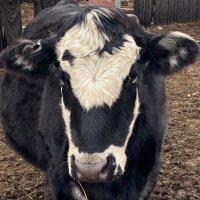 Kyle (@kylekl2014) 's Twitter Profile
