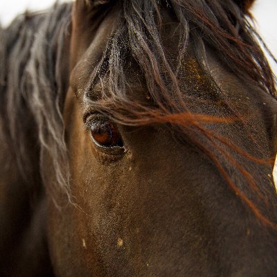 MadeOfGraphene's profile picture. Not financial advice 
Graphene is coming.
Next Generation 
#blockchain. #DeFi
@phorecrypto @getgraphene

I also like Coffee