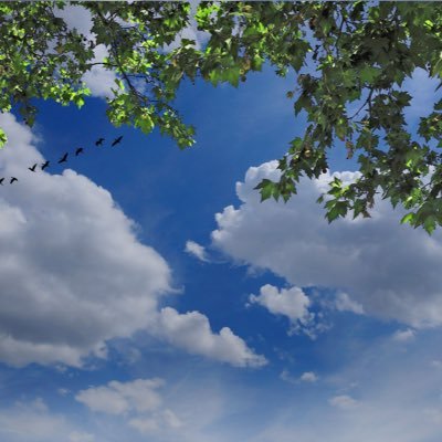 ifyouplz's profile picture. 